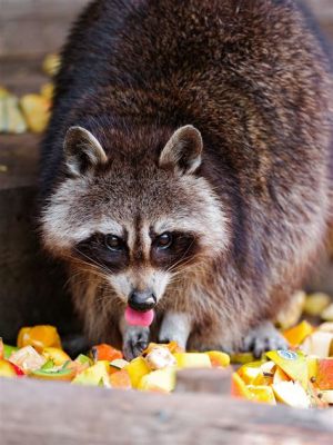 Do Raccoons Eat Fruit? And Why Do They Always Look Like They’re Planning Something?