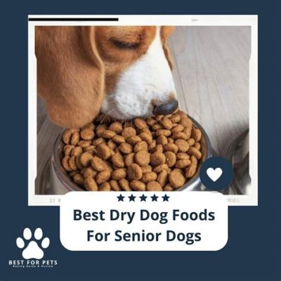 How Long is Dry Dog Food Good for Once Opened: A Comprehensive Guide and the Curious Case of the Midnight Snack