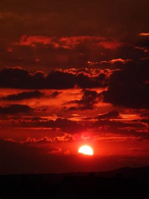 天気 川崎市多摩区 今日の空はなぜかピンク色に見える